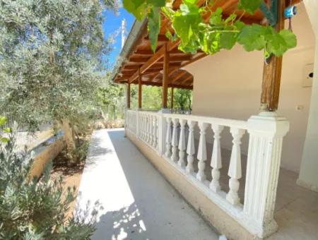 Erschwinglicher Preis Freistehende 4 1 Villa Mit Grossem Garten Zum Verkauf In Doğanbey